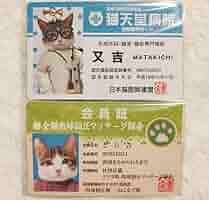 Amazon.co.jp: No.N-010なめ猫 なめんなよカードコレクション2 2